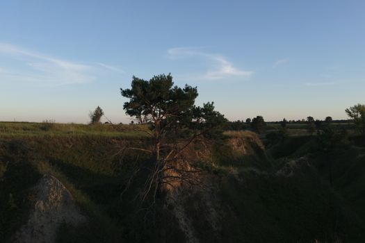 Rural Landscape at Dawn