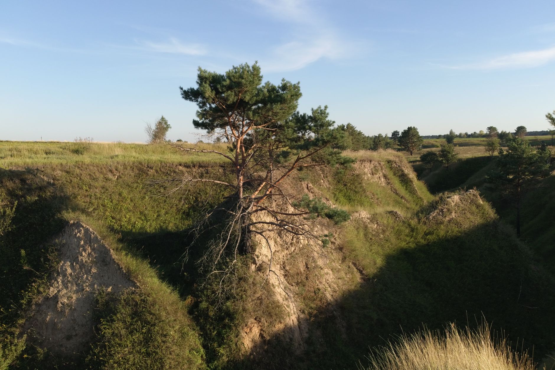 Landes : Un territoire asséché par l’héritage napoléonien