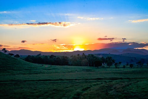 Free Green Farmland at Sunset Stock Photo