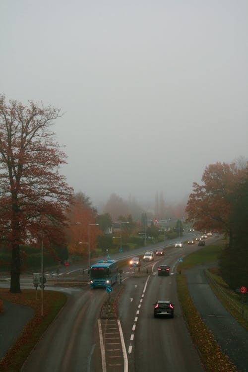 Kostnadsfria Kostnadsfri bild av bilar, dimma, dyster Stock foto