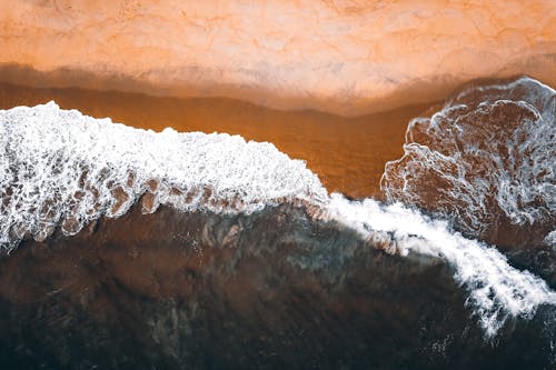Free Waves of transparent sea rolling on wet empty coast Stock Photo
