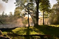 在瑞典奥尔马纳斯，阳光透过树木，薄雾笼罩着宁静的河流