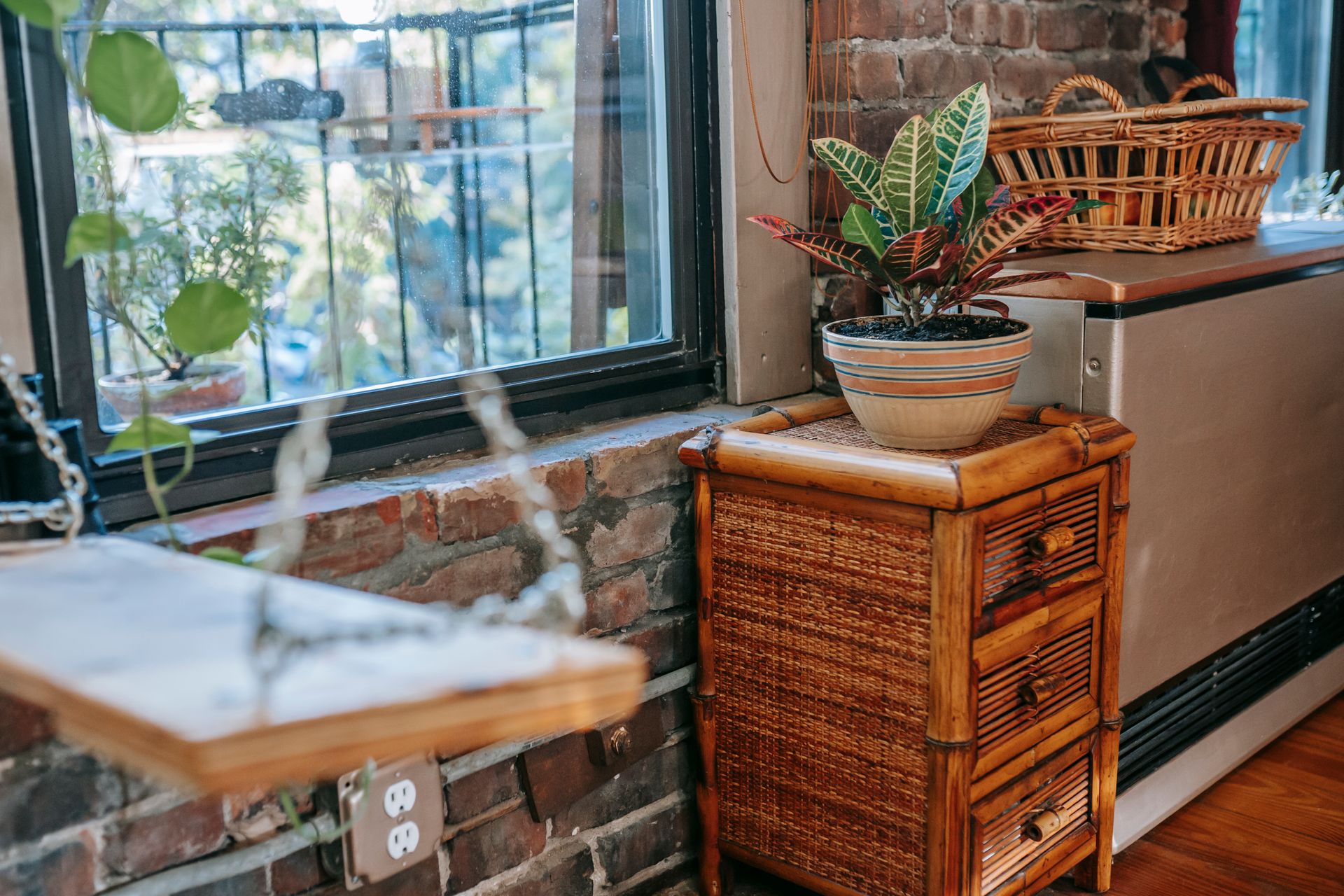 Growing plant in pot on wooden stand near table with basket in aged house with brick wall