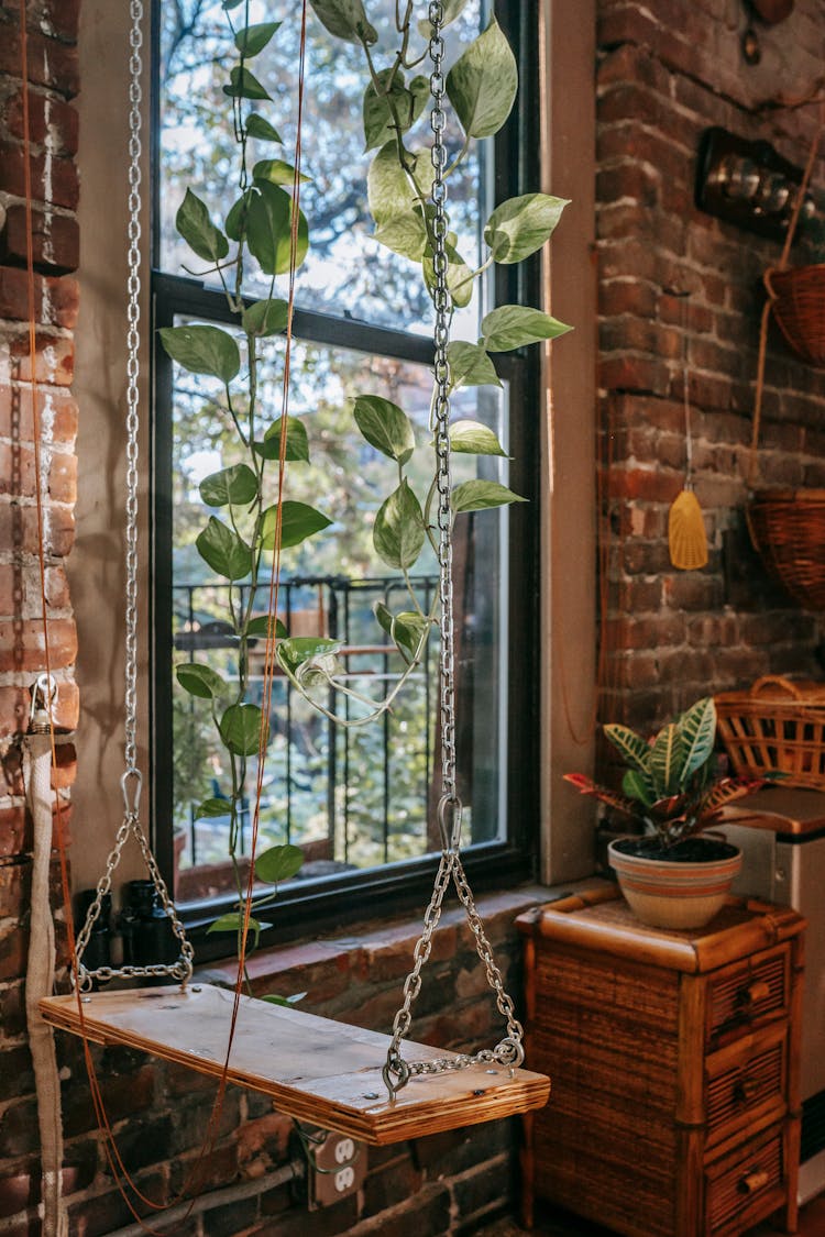 Swing With Creeping Plant In Old House