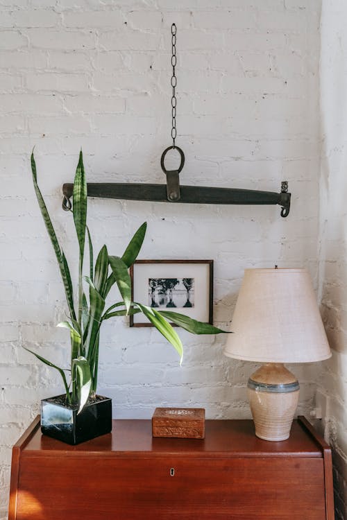 Wooden cabinet with lamp and houseplant