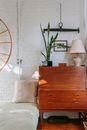 Retro cabinet with potted plant near comfy bed