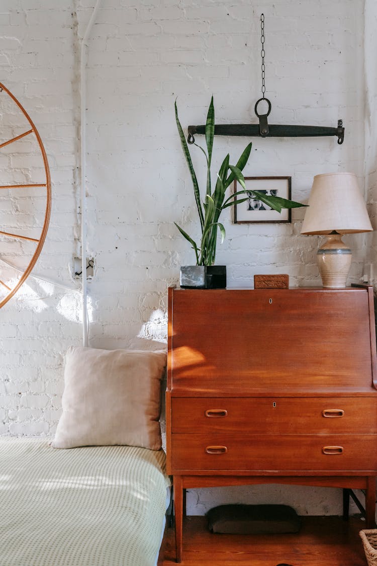 Retro Cabinet With Potted Plant Near Comfy Bed