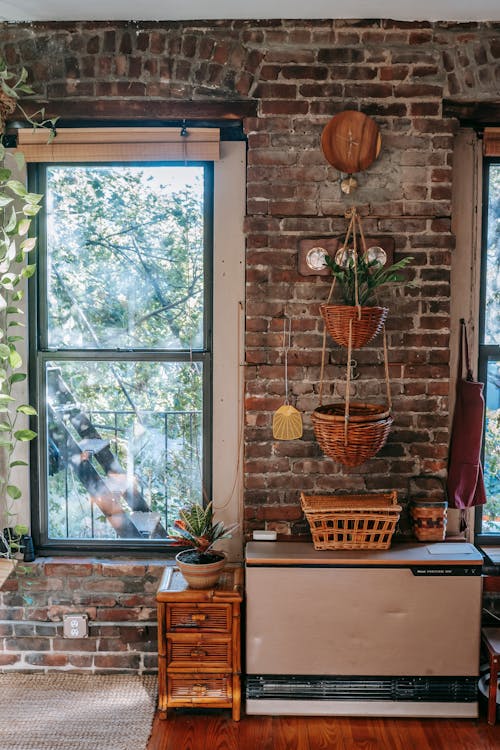 Potted plants decorating brick wall of stylish house