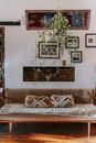 Comfortable couch in cozy living room decorated with plant and framed pictures