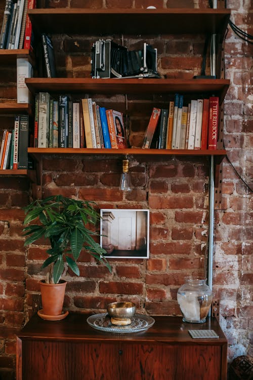 Bookshelves on brick wall in room