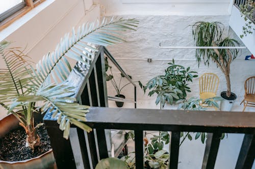 Staircase with wooden railing decorated with plants in light modern house