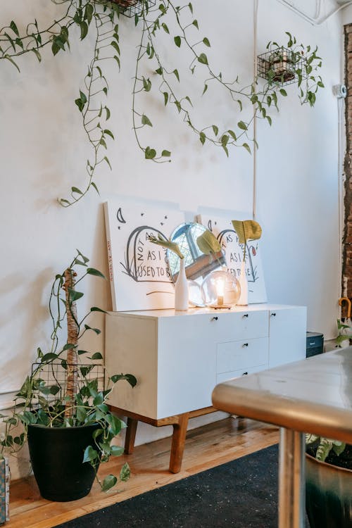 Free White drawer decorated with paintings and lamp placed in cozy light room with potted flowers in metal baskets hanging on white wall next to big houseplant on floor Stock Photo