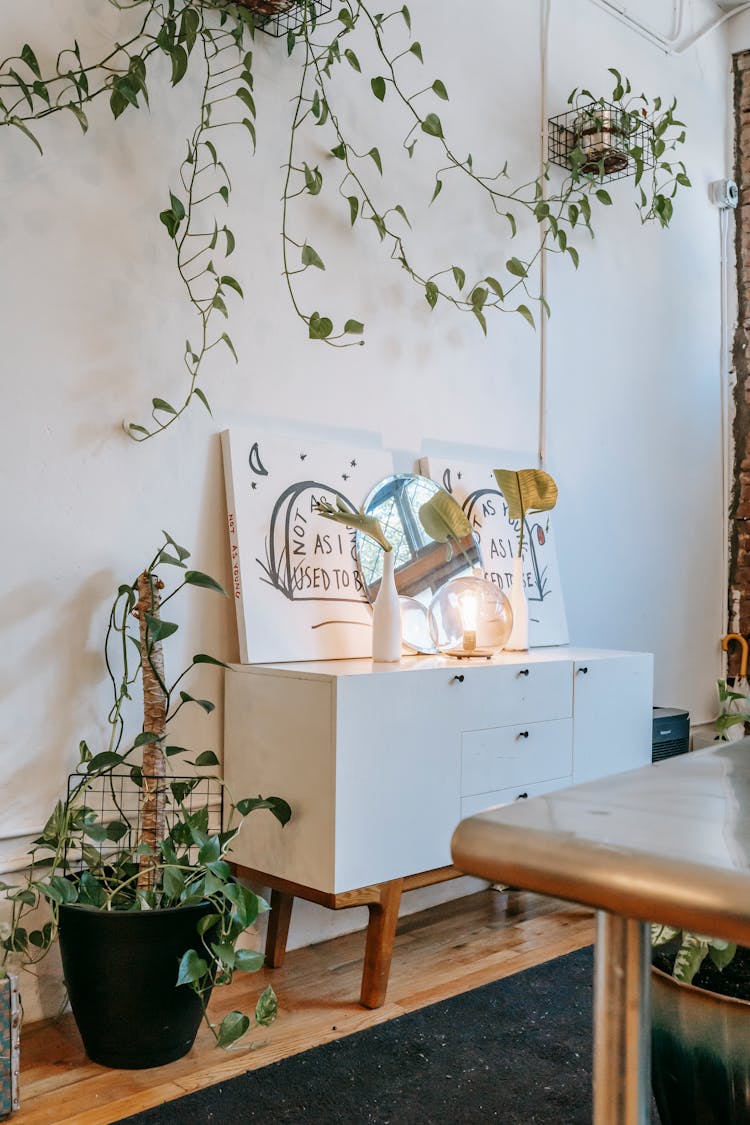 Stylish Room Decorated With Potted Flowers And Drawer