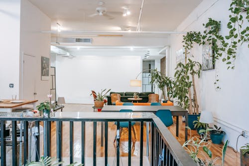 Cozy dining zone decorated with potted plants connected with lounge zone located in light cozy modern house in Scandinavian style