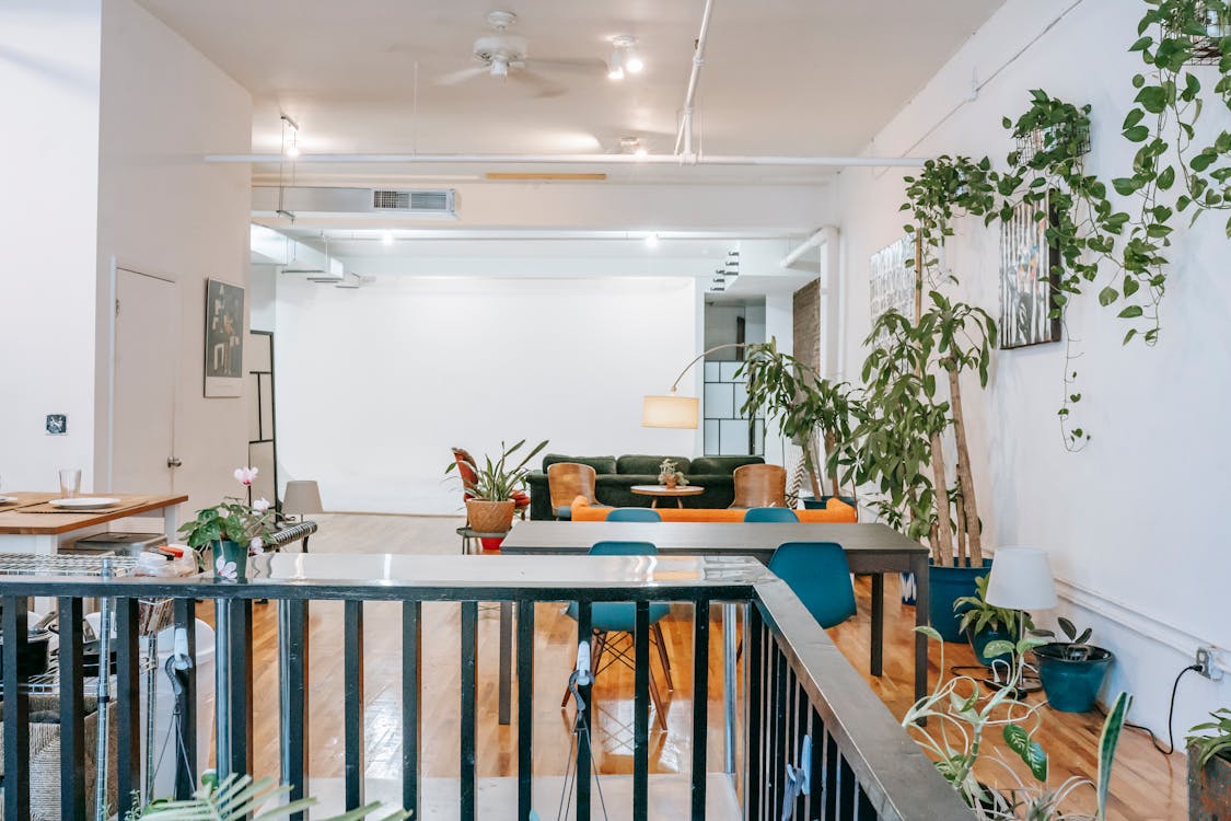 Free Salle à Manger Reliée à La Zone Lounge Et Décorée De Plantes D'intérieur Stock Photo