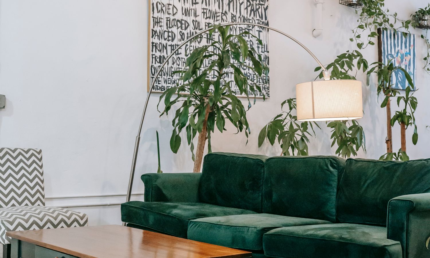 Living room decorado con plantas y mobiliario cálido tras un home staging