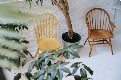 High angle comfy wooden chairs placed against white stone wall near large potted plant