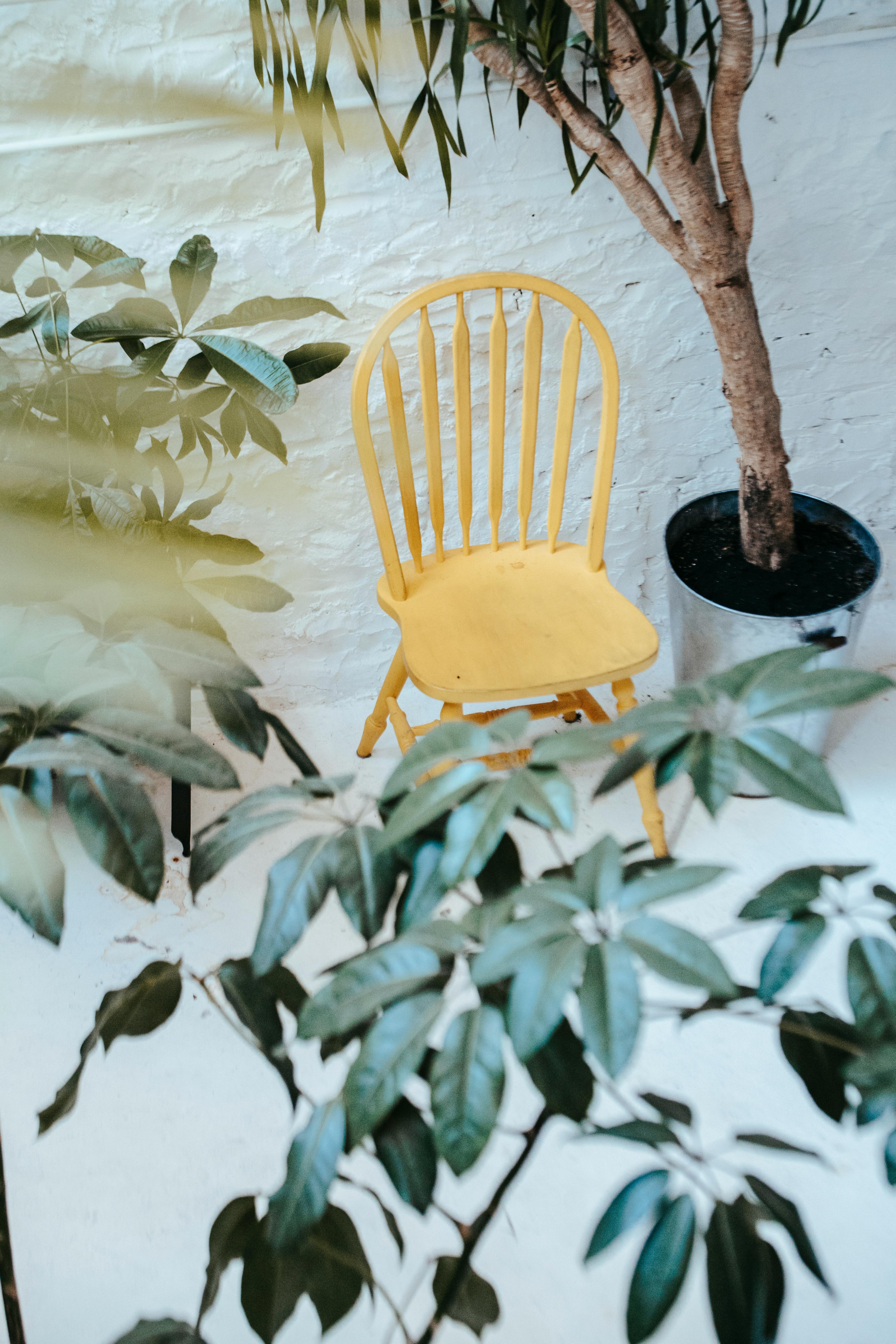Free A yellow chair surrounded by lush indoor plants against a white brick wall, creating a cozy and elegant ambiance. Stock Photo