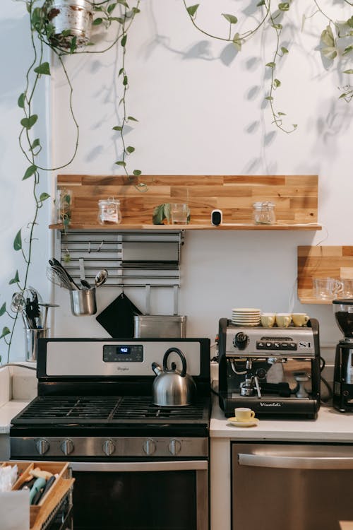 Interior of contemporary light kitchen with stove and various appliances on modern kitchen unit