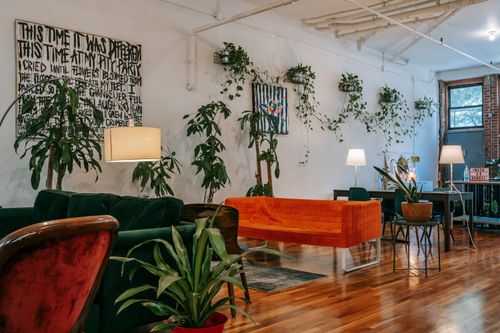 Free Stylish interior design of spacious light public coworking room with soft couches and table against white wall with paintings and decorated with many lush houseplants Stock Photo