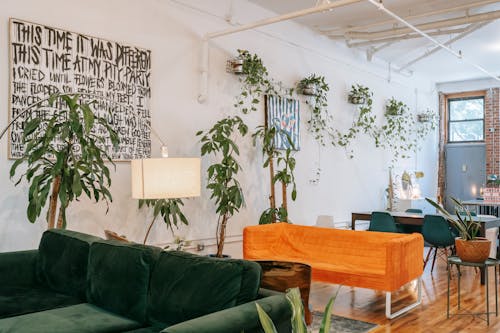 Room interior with cozy sofas on floor and potted creeping plants on wall in house