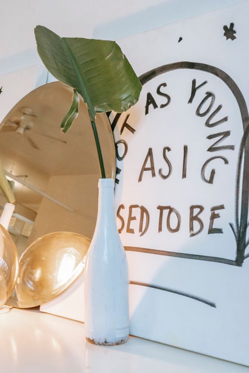Free Green plant in vase near signboard with title and bright sphere shaped lamp with mirror on table in house Stock Photo