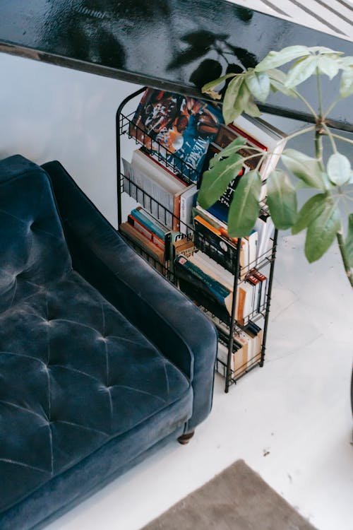 Cozy sofa near stand with books in house room