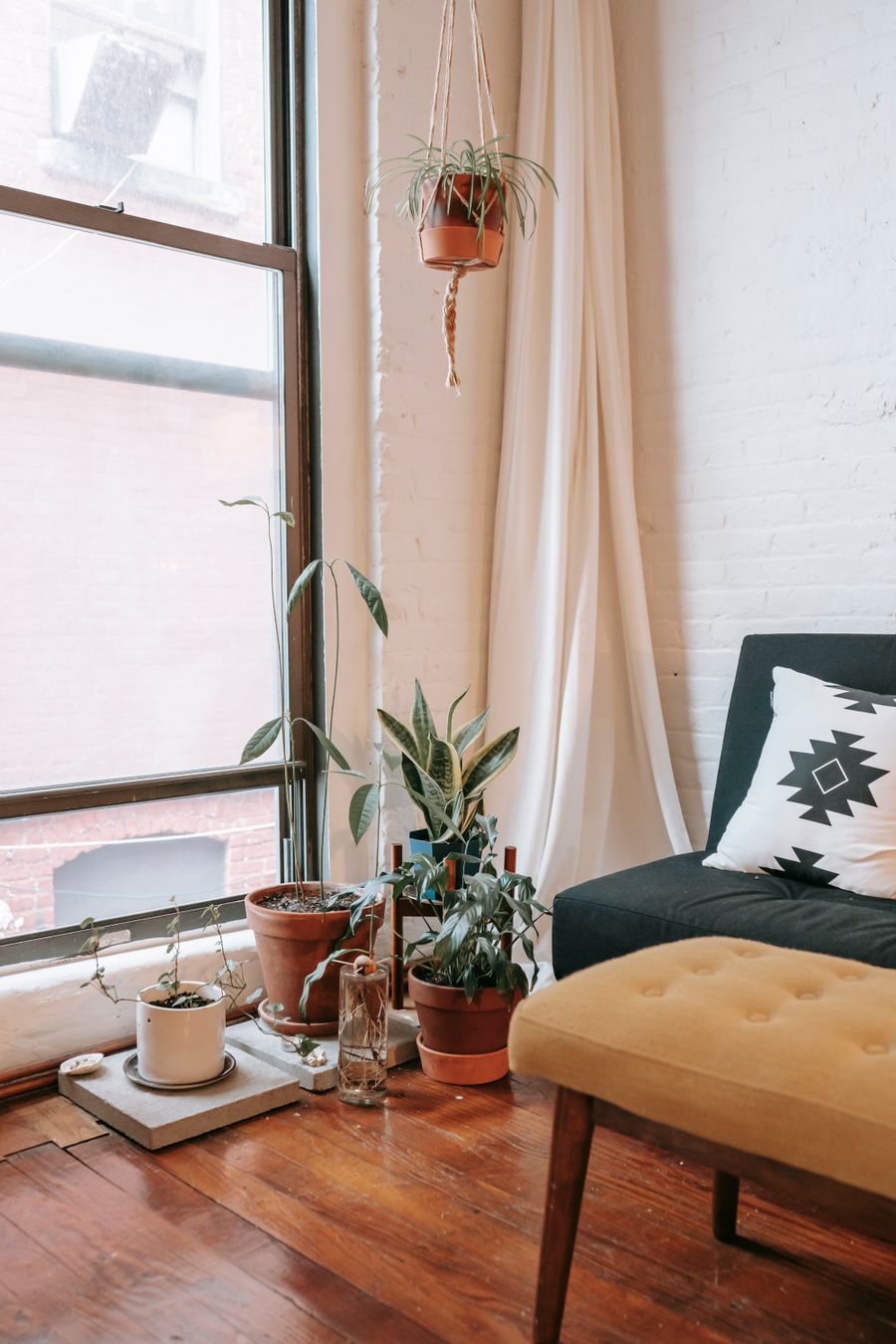 Ambiente calmo e acolhedor com plantas e luz natural