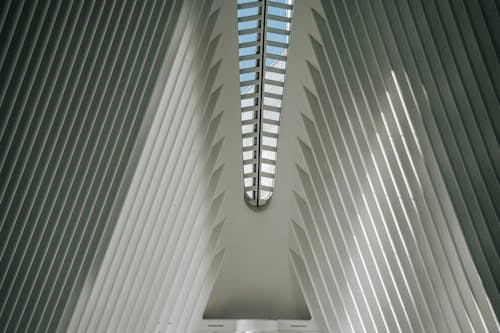 Foto d'estoc gratuïta de arquitectura, claraboia, diagonal