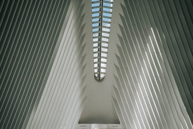 Skylight On High Ceilings Of A Concrete Building