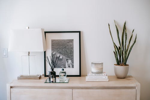 Free Photo with potted plant on chest of drawers in room Stock Photo