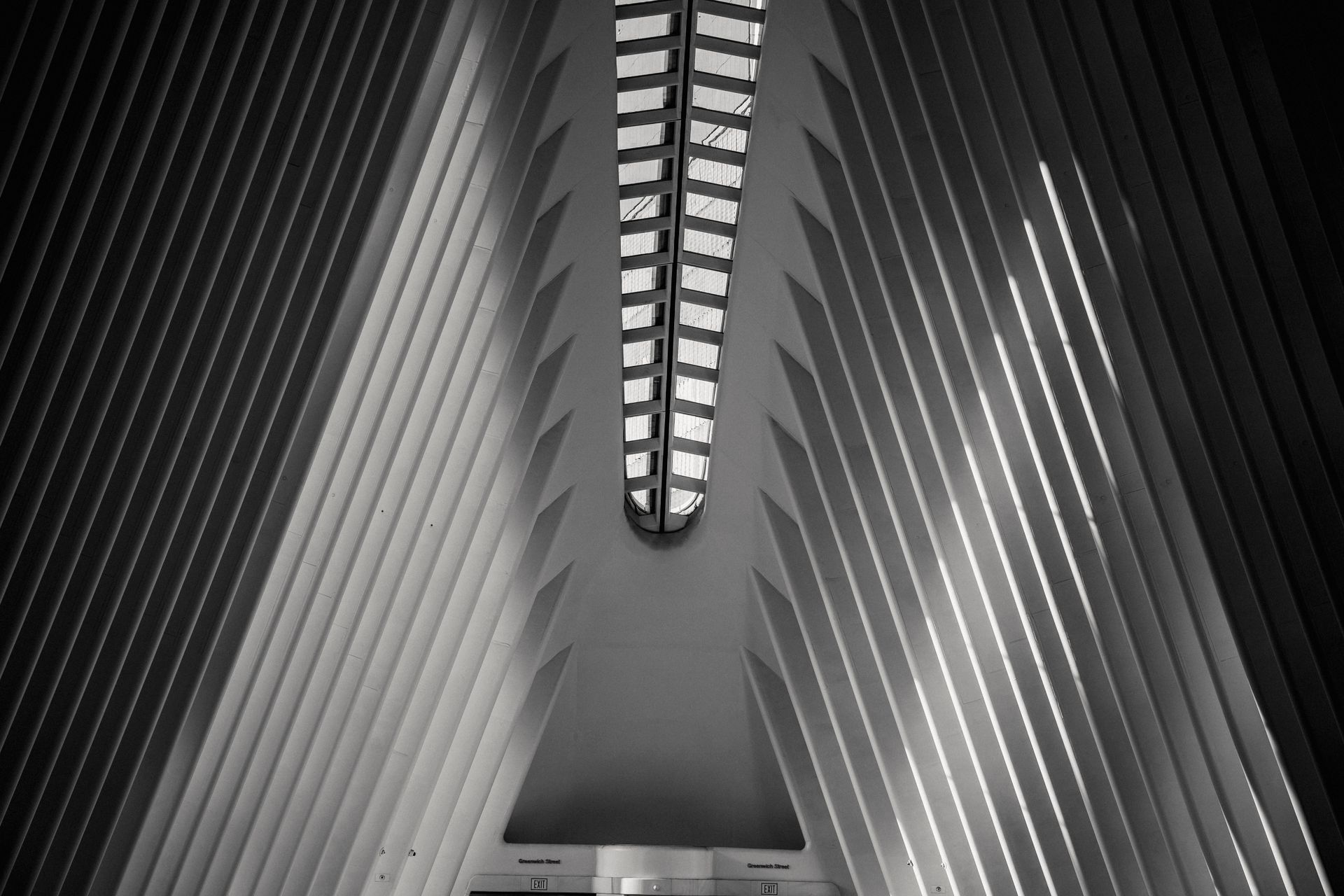 Low angle black and white of symmetrical roof with straight beams in rows in contemporary building