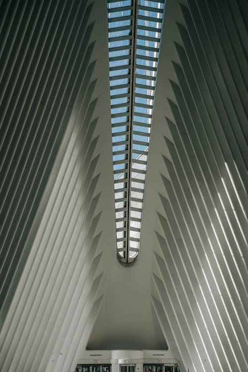 From below of contemporary building with symmetrical roof representing similar ribbed beams in sunlight