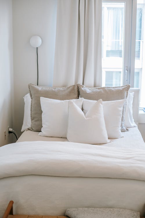 Bedroom interior with soft blanket and decorative cushions on bed at home in daylight