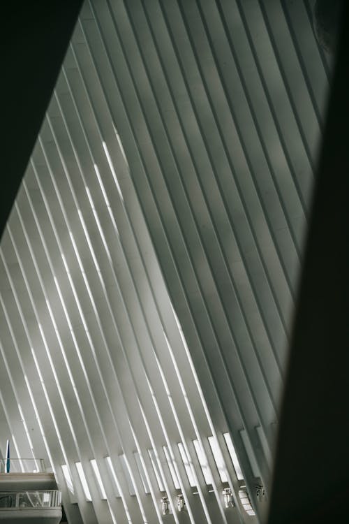 Симметричная крыша в современном здании при солнечном свете