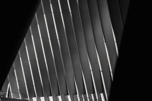 Black and white of glowing geometric roof with identical straight vertical beams in row in building