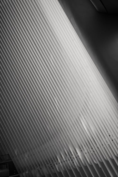 Black and white of glowing roof with straight thin beams in row in modern building