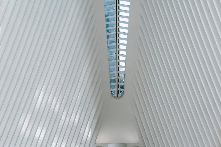 Contemporary Building Roof With White Ribbed Beams