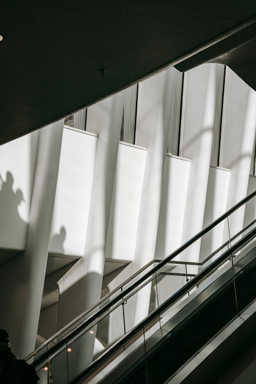 Black and white of escalator with handrails near shiny wall with vertical ribbed beams in sunlight