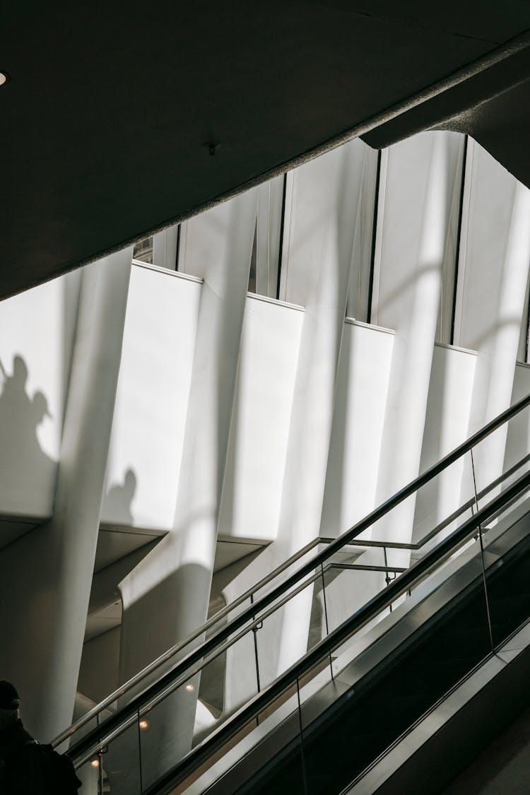 Moving Stairs Near Ribbed Wall In Contemporary Building