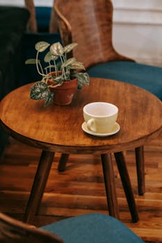 From above of stylish wooden chairs with blue seats located near small round table with potted plant and white ceramic cup in cozy cafe
