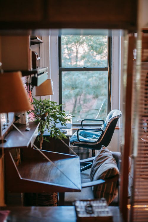 Comfortable working zone decorated with houseplants in cozy apartment