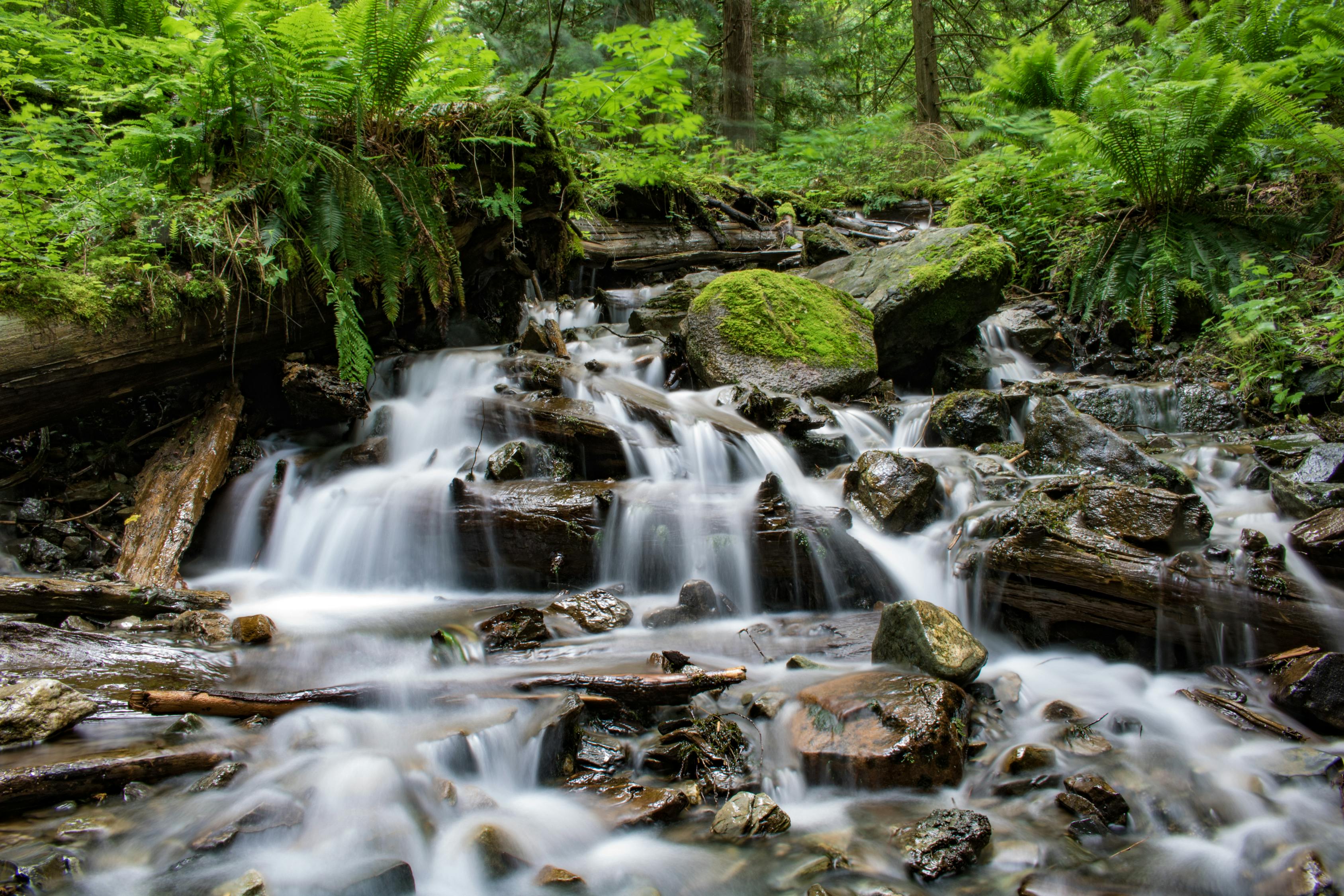 Pintler Falls waterfall