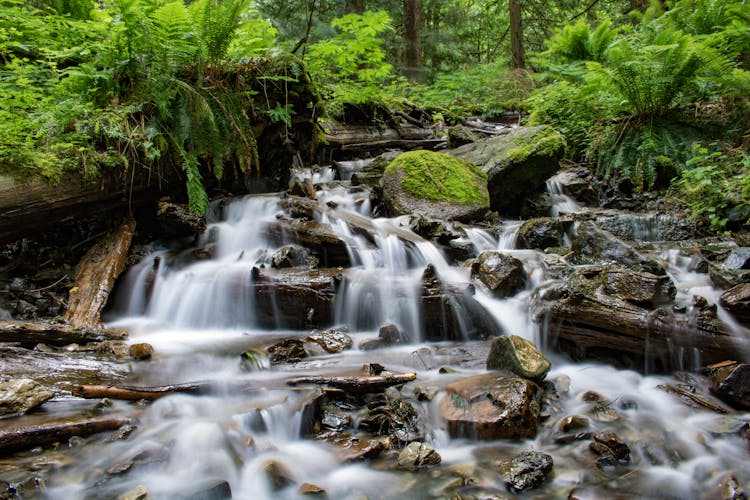 Time Lapse Of River