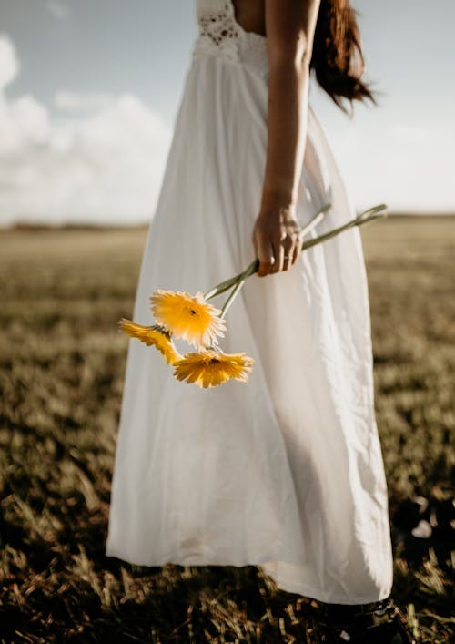 Crop ethnic woman with yellow gerberas in countryside field