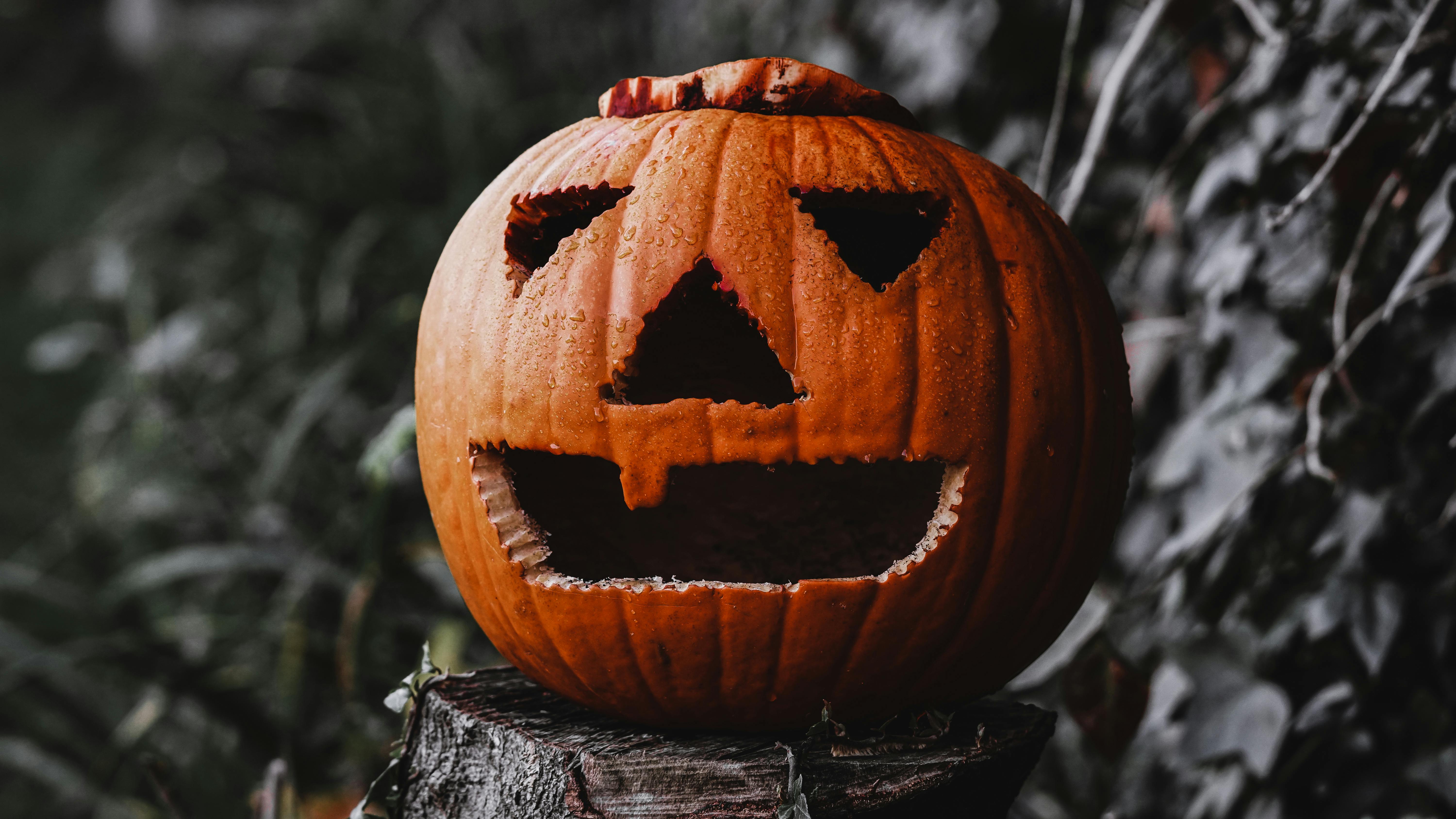 Close Up Photo of Jack o Lanterns · Free Stock Photo