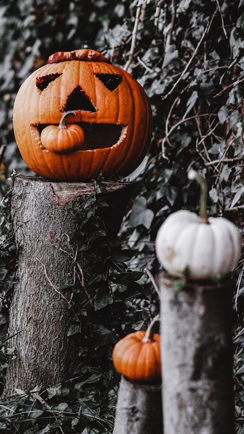 Jack O Lantern On Wood Trunk