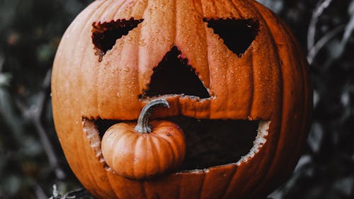 Close Up Shot of Jack O Lantern