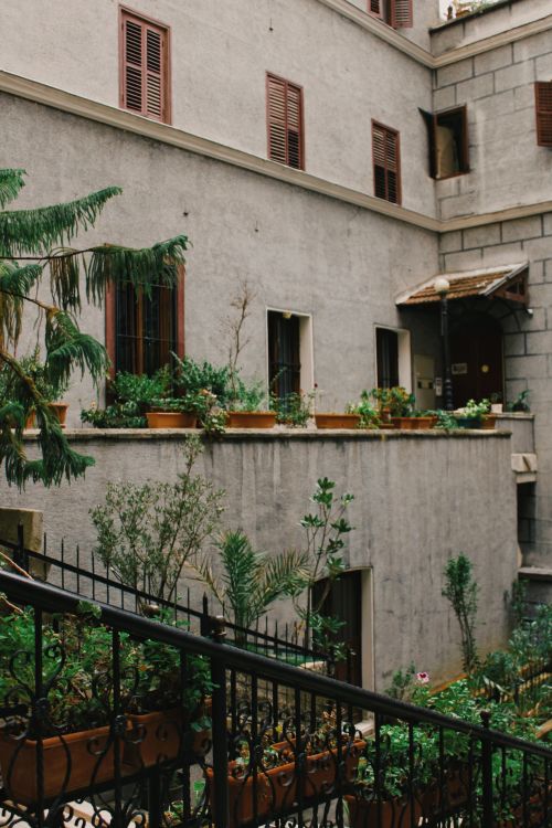 Free Lush courtyard garden with potted plants on a rustic building exterior. Stock Photo