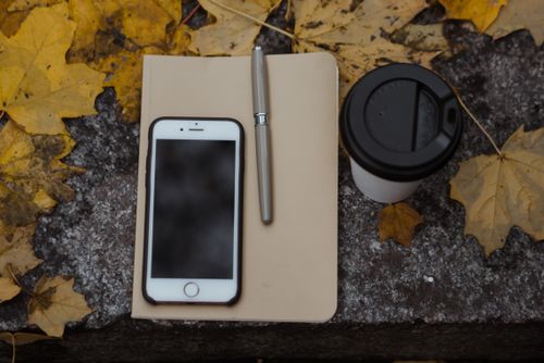 Free Top view of a smartphone, notebook, and coffee cup on a concrete surface surrounded by fallen leaves. Stock Photo